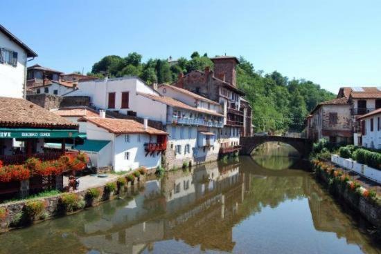 Parc Arradoy Lägenhet Saint-Jean-Pied-de-Port Exteriör bild
